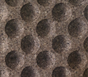 Pluta Expandata Decorativa 3D PointCloud