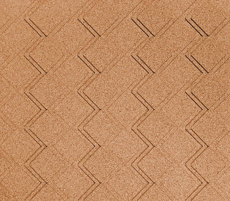 STRIPS STEP 