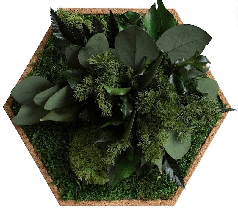 Organic Moss Hexagon Jungle