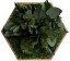 Organic Moss Hexagon Jungle
