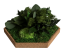 Organic Moss Hexagon Jungle