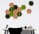 Organic Moss Hexagon Jungle
