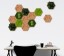 Organic Moss Hexagon Jungle