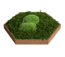 Organic Moss Hexagon Forest (Muschi Padure)