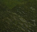 Primecork Classic Green