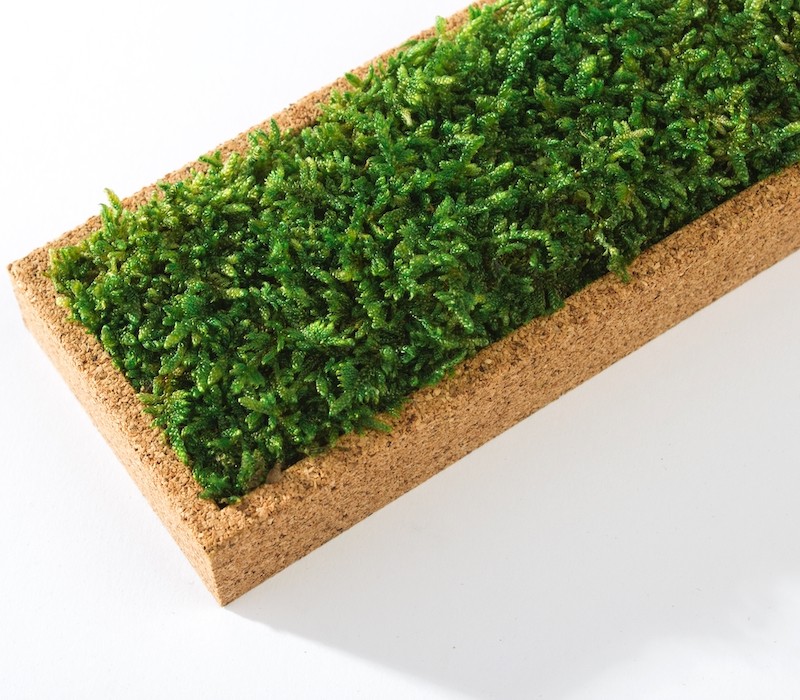 Organic Moss Rectangular Forest (Muschi Padure)