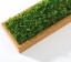 Organic Moss Rectangular Forest (Muschi Padure)