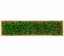 Organic Moss Rectangular Forest (Muschi Padure)