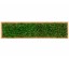 Organic Moss Rectangular Forest (Muschi Padure)
