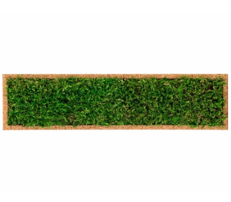 Organic Moss Rectangular Forest (Muschi Padure)