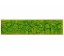 Organic Moss Rectangular Reindeer Moss (Licheni)