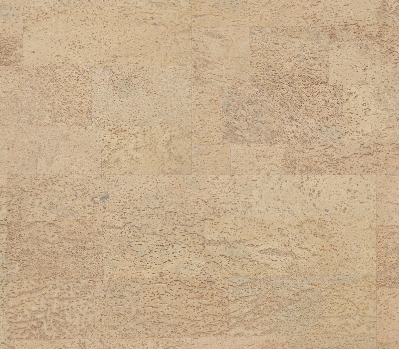 WISE Pure Identity Champagne
