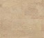 WISE Pure Identity Champagne