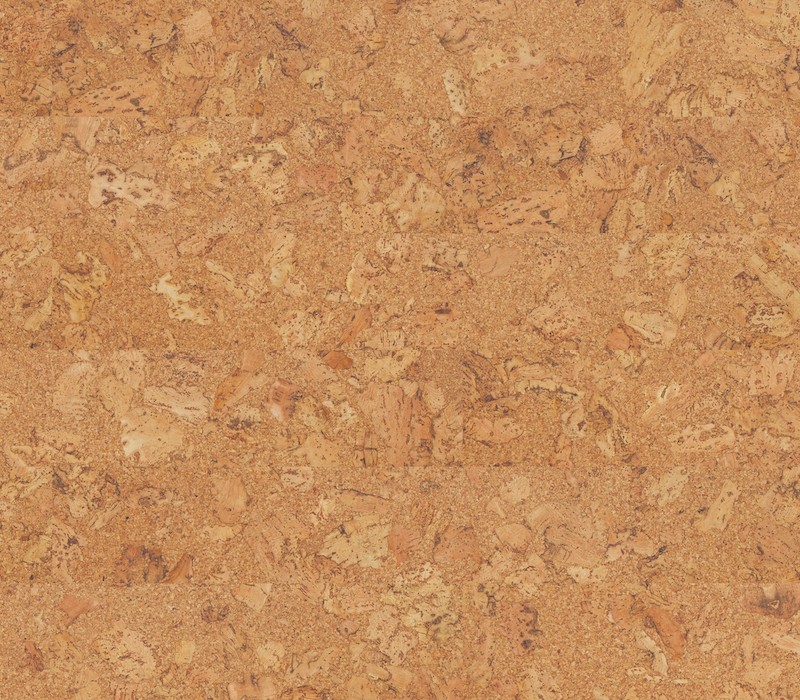 WISE Pure Shell Natural