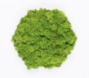 Organic Moss Hexagon Endless Lime Green