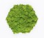 Organic Moss Hexagon Endless Lime Green