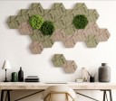 Organic Moss Hexagon Endless Forest Green