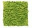 Organic Moss Square XL Lime Green