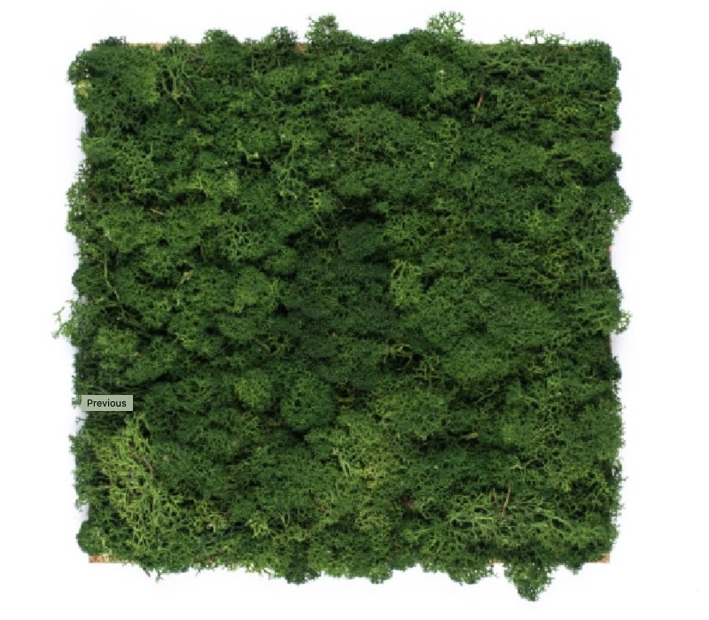 Organic Moss Square XL Forest Green