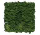Organic Moss Square XL Forest Green