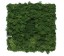 Organic Moss Square XL Forest Green