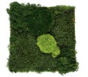 Organic Moss Square XL Flat and Pole