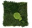 Organic Moss Square XL Flat and Pole