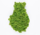 Organic Moss Drop Lime Green