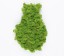 Organic Moss Drop Lime Green