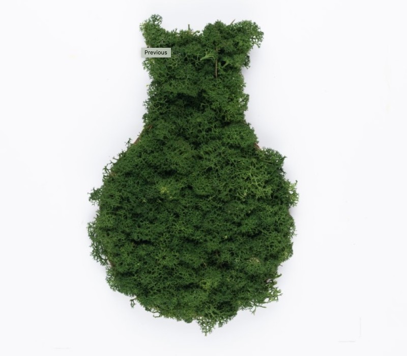 Organic Moss Drop Forest Green