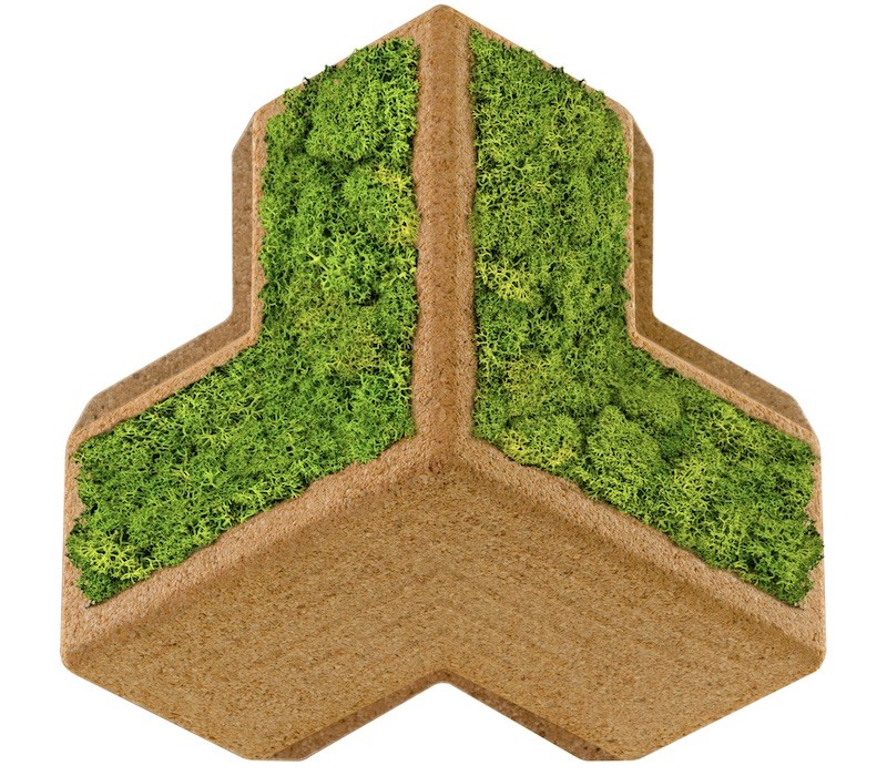 Organic Moss Kubus