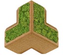 Organic Moss Kubus