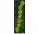 Green Modular A 600x200mm