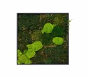 Green Modular B 400x400mm
