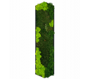 Green Hexad A 1000x250mm