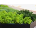 Green Hexad C 1000x250mm