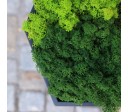 Green Hexad C 1000x250mm