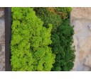 Green Hexad C 1000x250mm