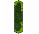 Green Hexad C 1000x250mm