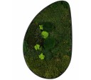 Green Ovate 800x500mm