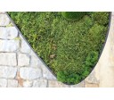 Green Ovate 800x500mm