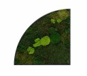 Green Quadrant 500x500mm
