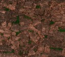 VIRGIN TREE Terracotta XL
