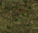 VIRGIN TREE Green XL