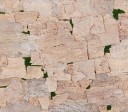 SKIN TREE Ivory XL