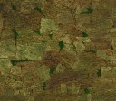SKIN TREE Green XL