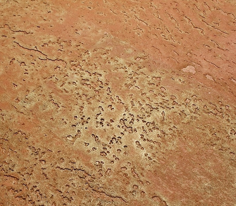Panouri Decorative Prime XL Amber