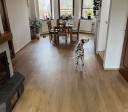 Parchet SPC CORKART Sepia Mountain Oak