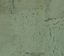 Pluta Decorativa CARIOCA Mint 900x300x5,5mm
