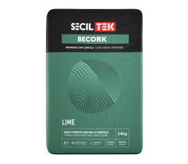 Tencuiala Termo si Fonoizolanta cu pluta BECORK LIME 14kg